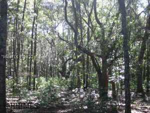 [Address Hidden by Seller], Bluffton, SC 29910