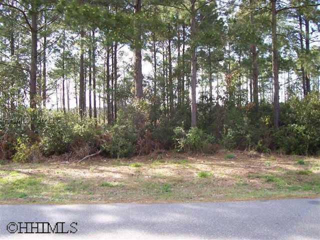 [Address Hidden by Seller], Bluffton, SC 29910