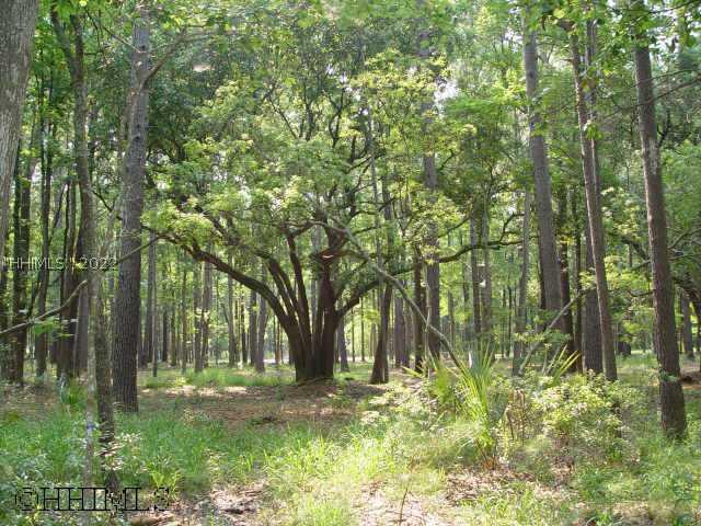 [Address Hidden by Seller], Bluffton, SC 29910