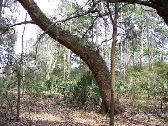 [Address Hidden by Seller], Bluffton, SC 29910