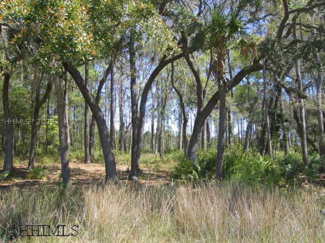 [Address Hidden by Seller], Bluffton, SC 29910
