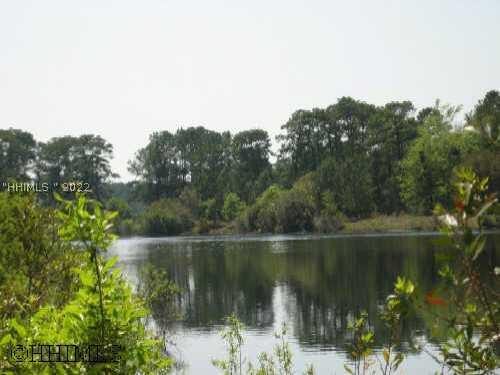 [Address Hidden by Seller], Okatie, SC 29909