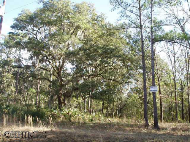 [Address Hidden by Seller], Daufuskie Island, SC 29915