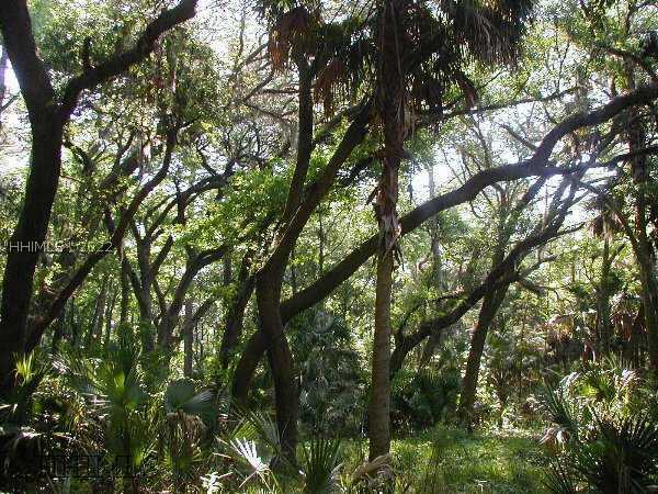 [Address Hidden by Seller], Okatie, SC 29909