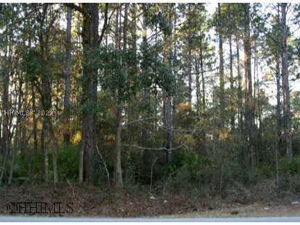 [Address Hidden by Seller], Bluffton, SC 29910