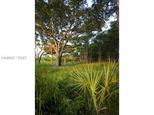 [Address Hidden by Seller], Daufuskie Island, SC 29915