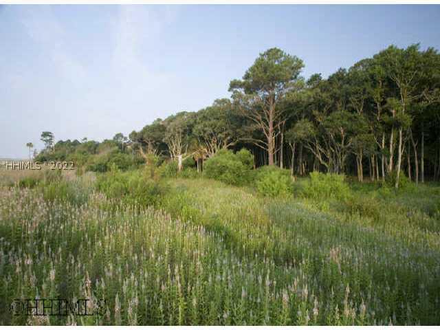 [Address Hidden by Seller], Daufuskie Island, SC 29915