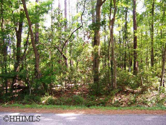 [Address Hidden by Seller], Bluffton, SC 29910