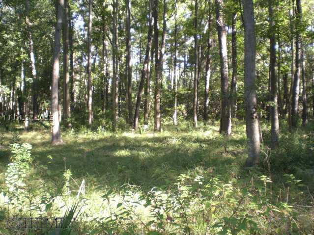 [Address Hidden by Seller], Bluffton, SC 29910