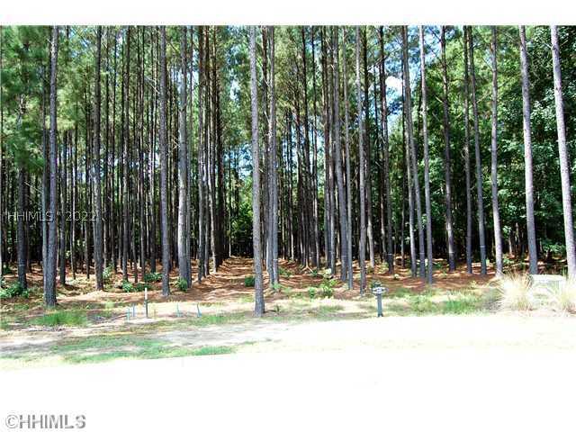 [Address Hidden by Seller], Bluffton, SC 29910