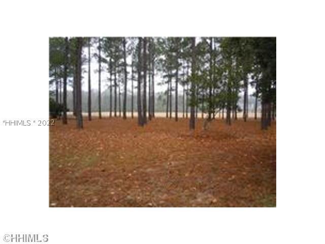 [Address Hidden by Seller], Bluffton, SC 29910