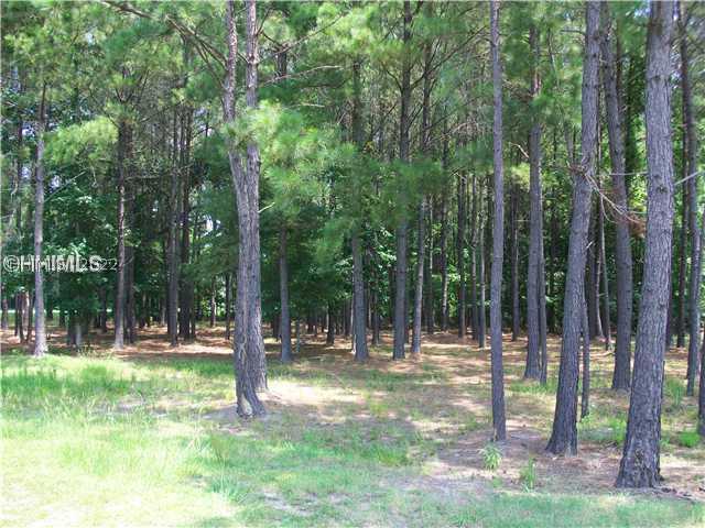 [Address Hidden by Seller], Bluffton, SC 29910