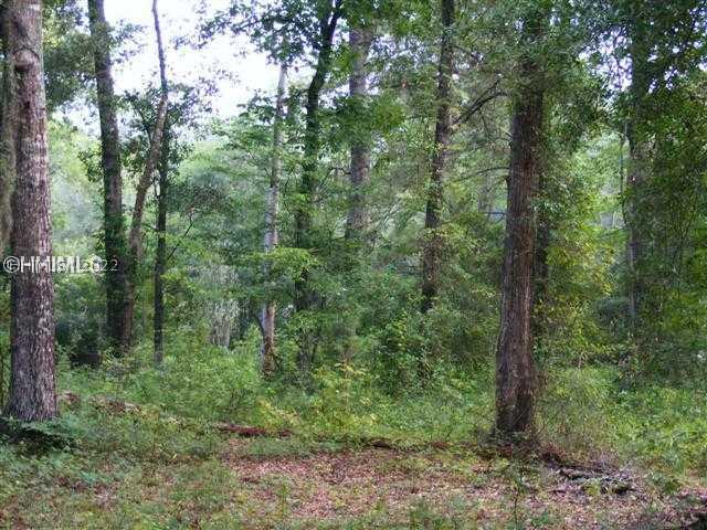 [Address Hidden by Seller], Bluffton, SC 29910