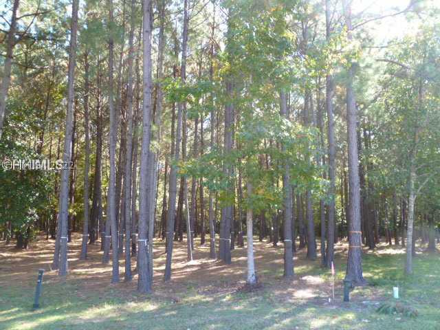 [Address Hidden by Seller], Bluffton, SC 29910