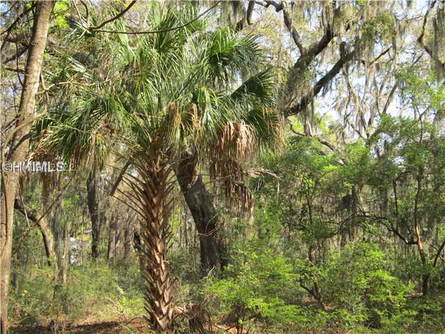 [Address Hidden by Seller], Saint Helena Island, SC 29920