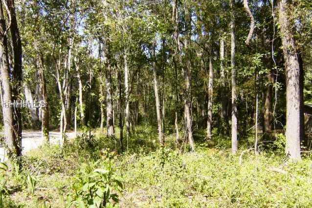 [Address Hidden by Seller], Bluffton, SC 29910