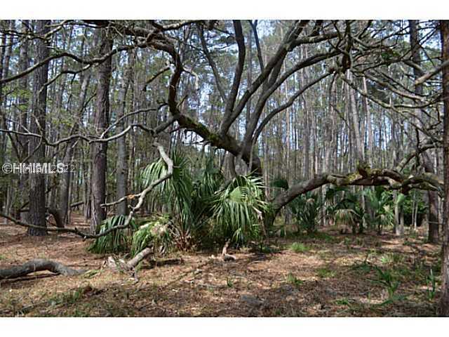 [Address Hidden by Seller], Bluffton, SC 29910