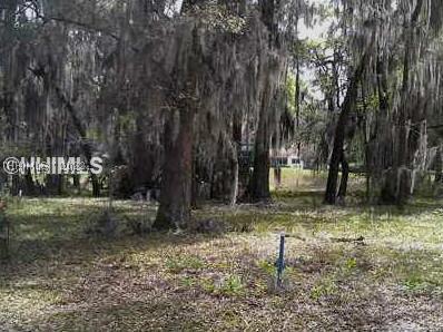 [Address Hidden by Seller], Daufuskie Island, SC 29915