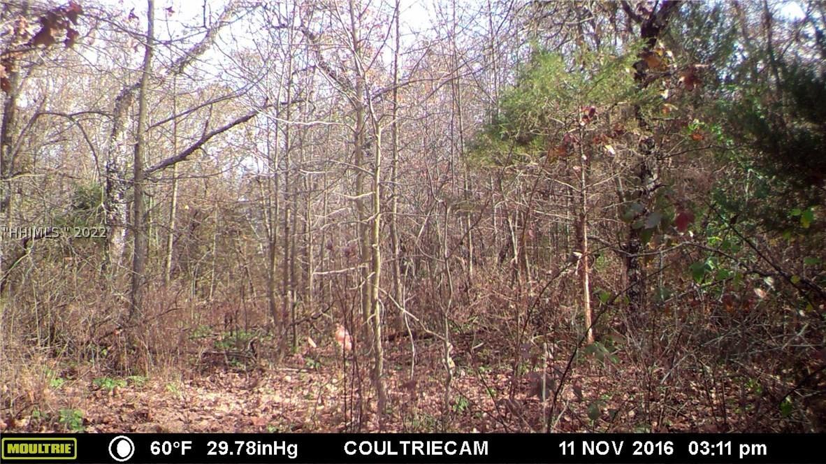 [Address Hidden by Seller], Bluffton, SC 29910