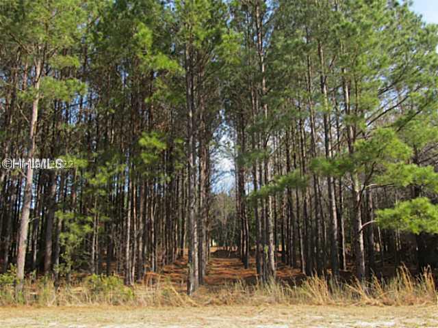 [Address Hidden by Seller], Bluffton, SC 29910