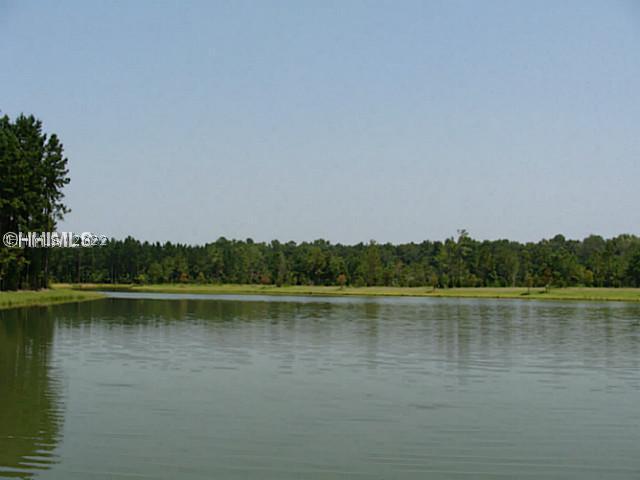 [Address Hidden by Seller], Bluffton, SC 29910