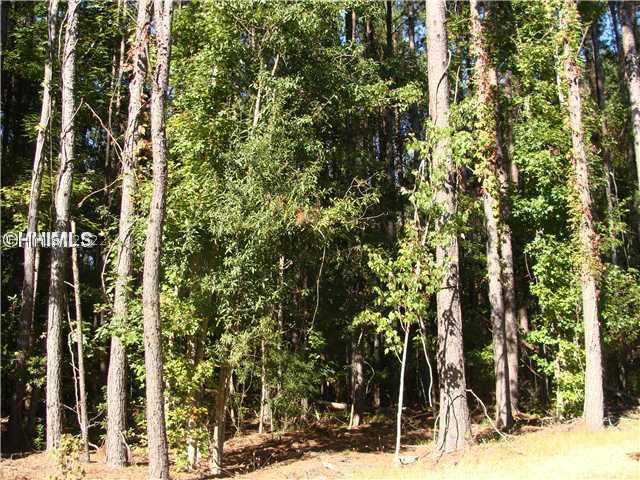 [Address Hidden by Seller], Bluffton, SC 29910