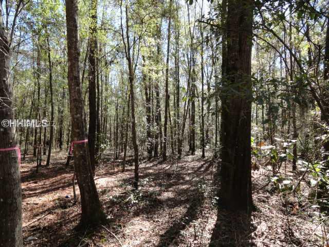 [Address Hidden by Seller], Bluffton, SC 29910