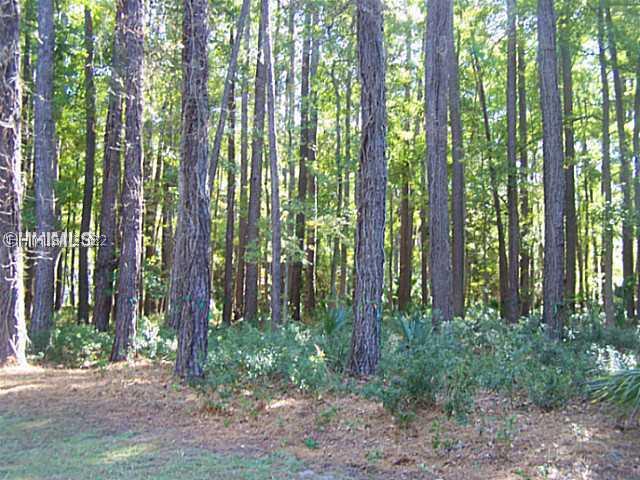 [Address Hidden by Seller], Bluffton, SC 29910