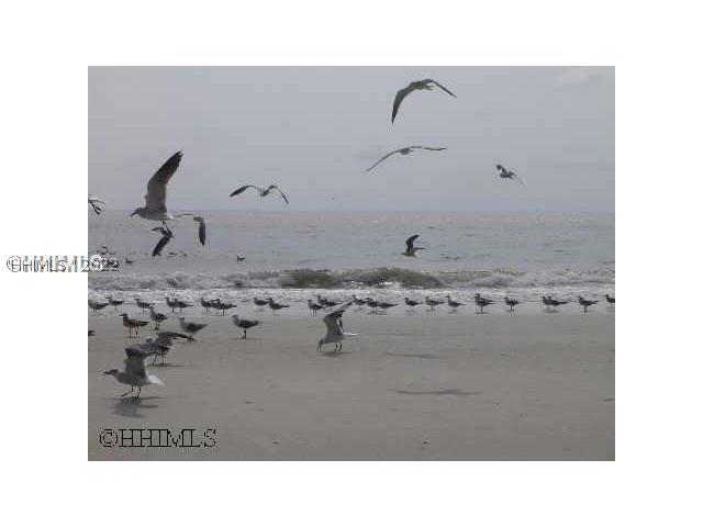 [Address Hidden by Seller], Hilton Head Island, SC 29926