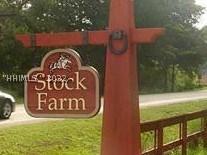 [Address Hidden by Seller], Bluffton, SC 29910