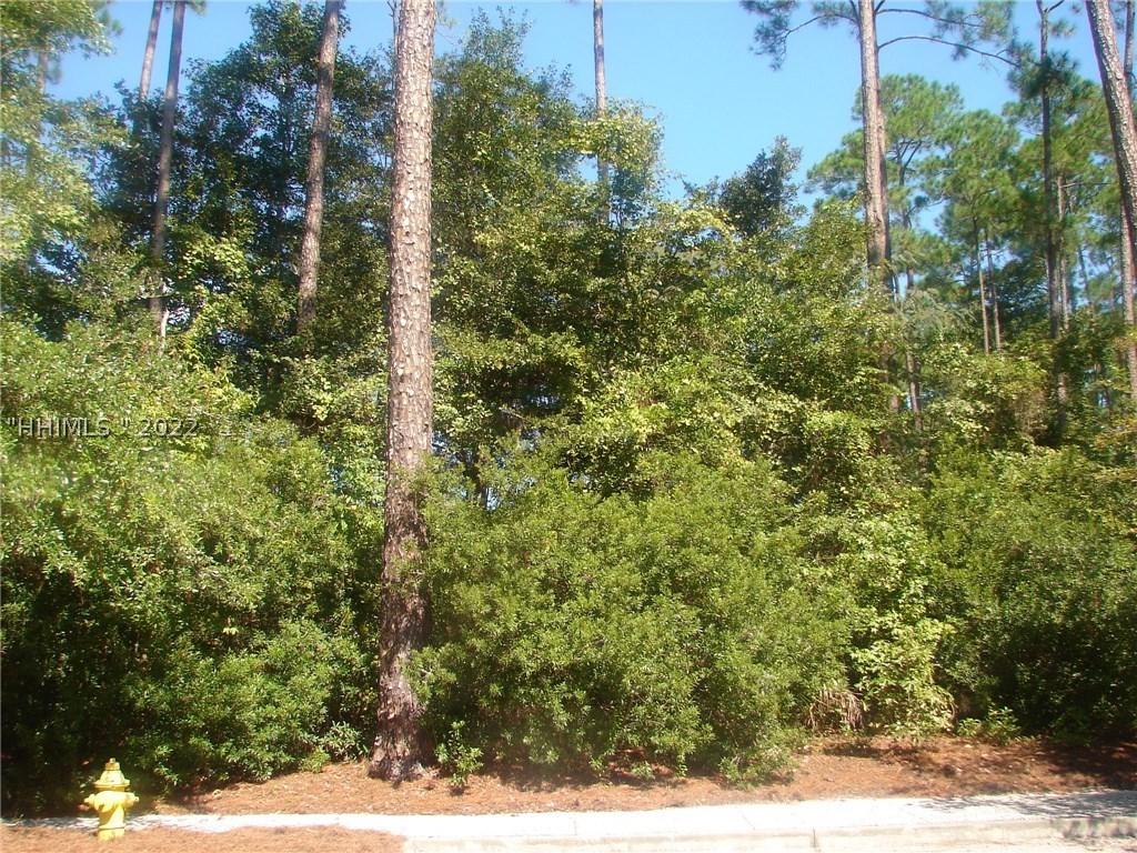 [Address Hidden by Seller], Bluffton, SC 29910