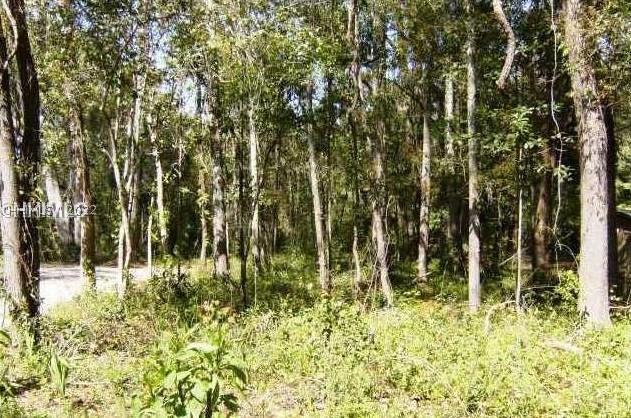 [Address Hidden by Seller], Bluffton, SC 29910