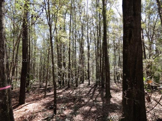 [Address Hidden by Seller], Bluffton, SC 29910