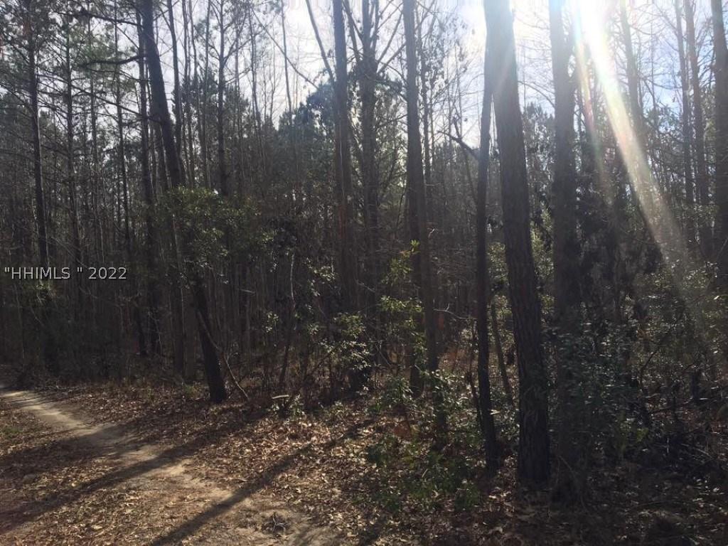 [Address Hidden by Seller], Ridgeland, SC 29936