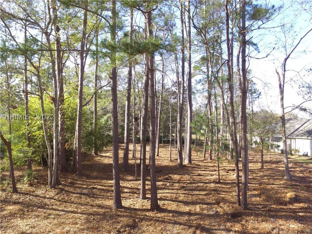 [Address Hidden by Seller], Bluffton, SC 29910