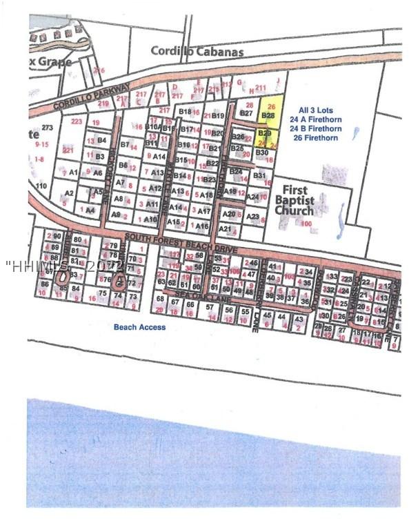 24 Firethorn Ln., Hilton Head Island, SC 29928