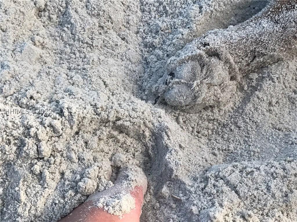 [Address Hidden by Seller], Daufuskie Island, SC 29915