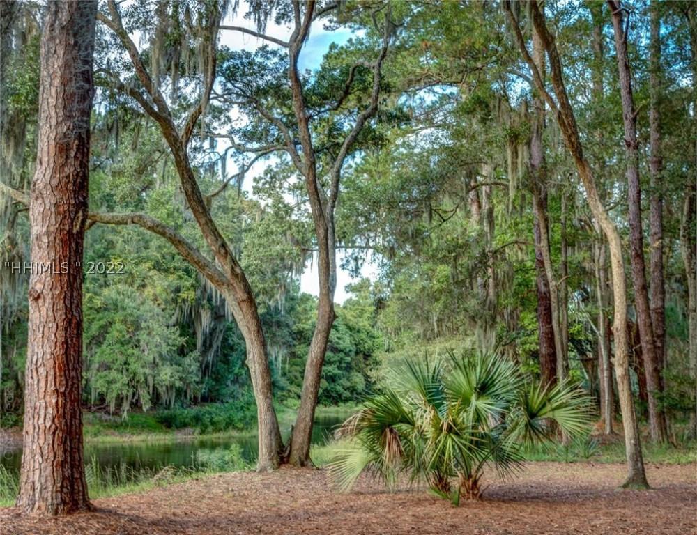 [Address Hidden by Seller], Daufuskie Island, SC 29915