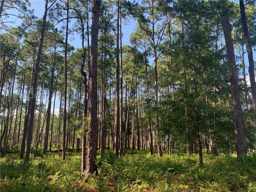 111 Cane Cutter, Bluffton, SC 29910