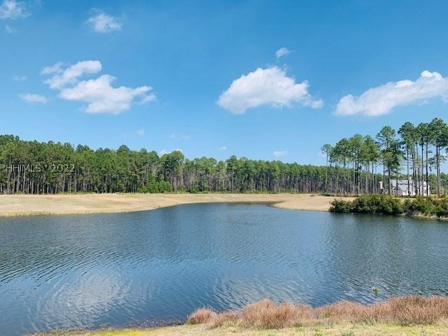 31 Harrier St., Bluffton, SC 29910
