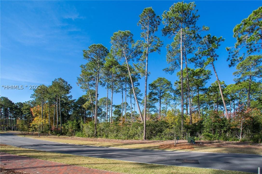 115 Hunting Lodge Rd., Bluffton, SC 29910