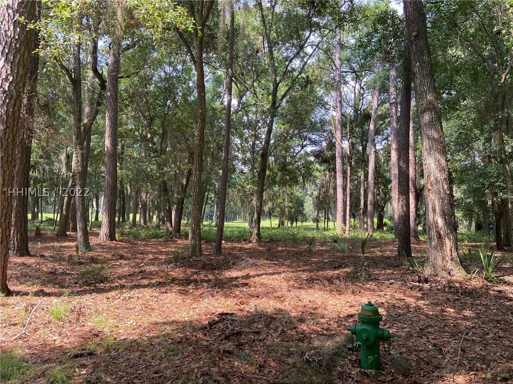 18 Money Mongin Ln., Daufuskie Island, SC 29915
