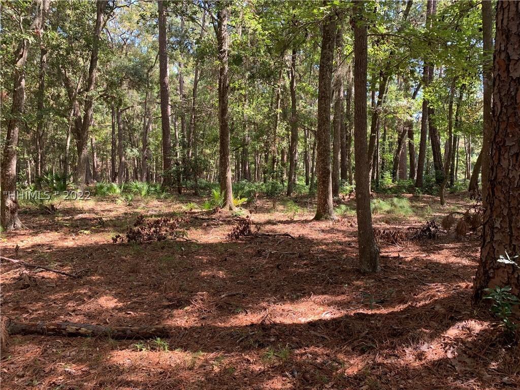 36 Masters Dr., Daufuskie Island, SC 29915