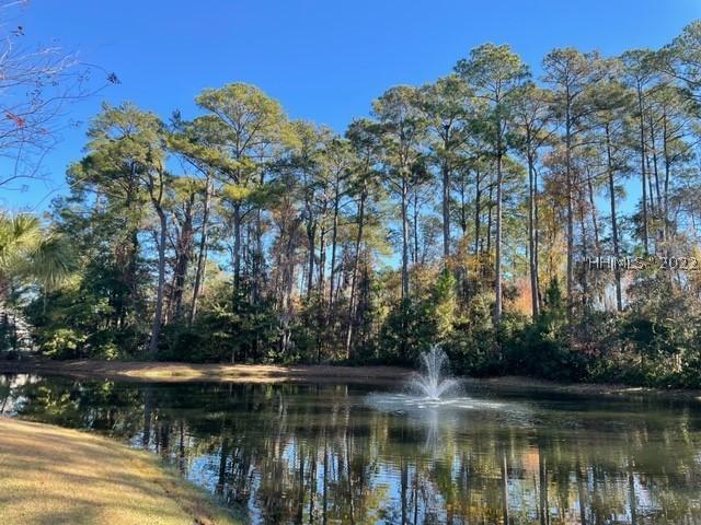 6 Wild Spartina St., Bluffton, SC 29910