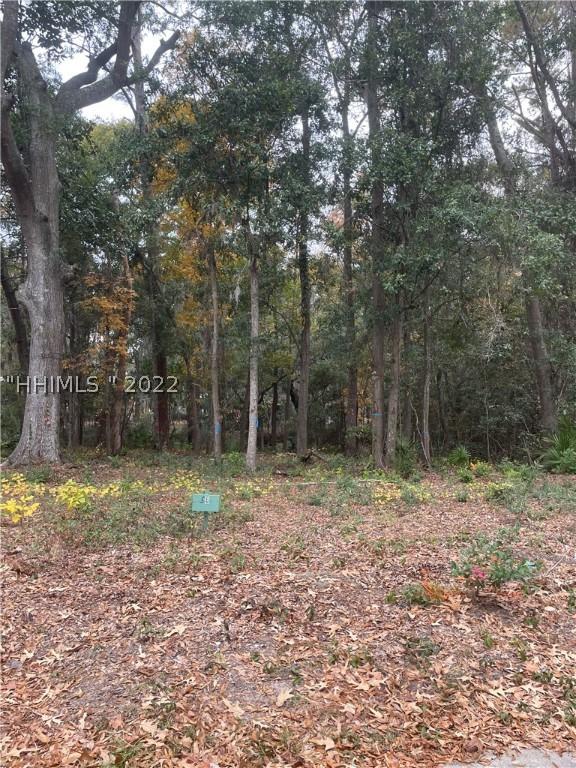 56 Pritchard St, Bluffton, SC 29910