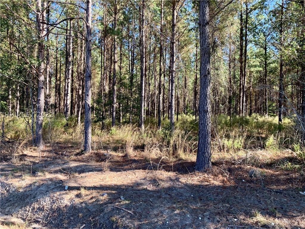 [Address Hidden by Seller], Fripp Island, SC 29920