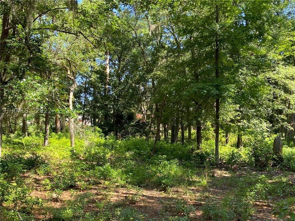 9 Buttercup Ct., Daufuskie Island, SC 29915