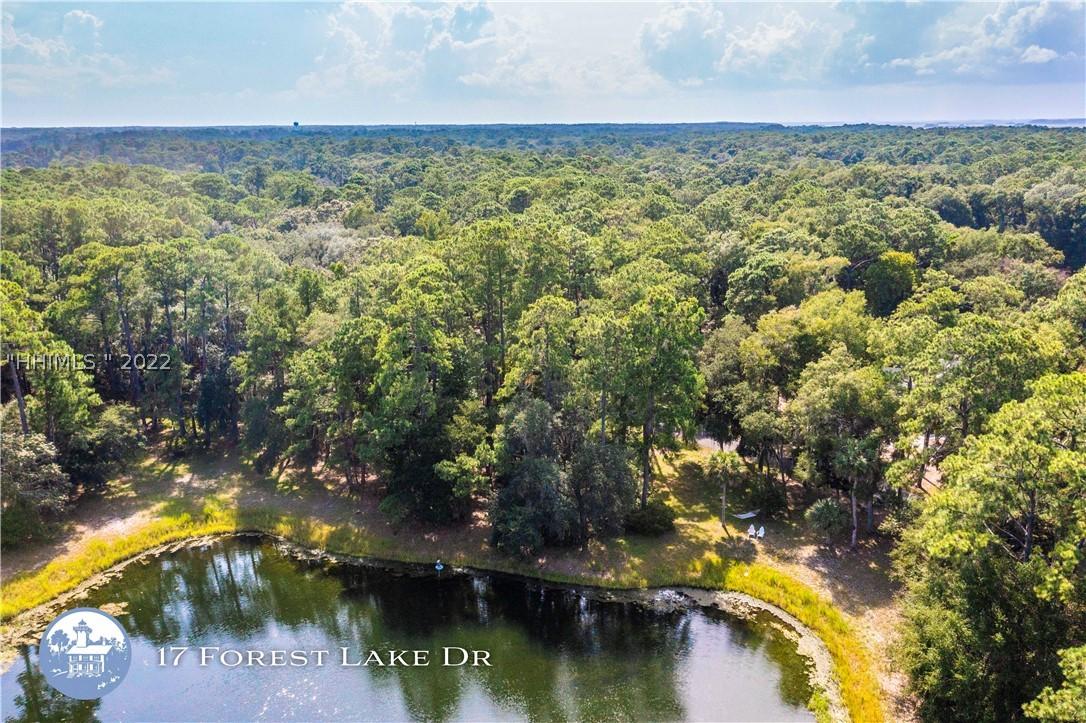 17 Forest Lake Dr, Daufuskie Island, SC 29915