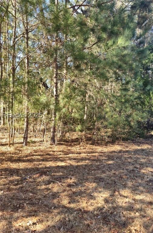 TBD Drayton Dr, Ridgeland, SC 29936