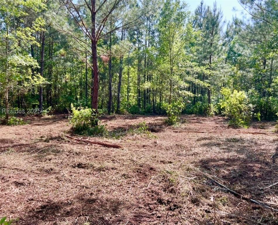 499 Sisters Ferry Rd., Ridgeland, SC 29936